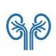 Nephrology