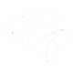 Neurosurgery