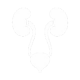 Urology